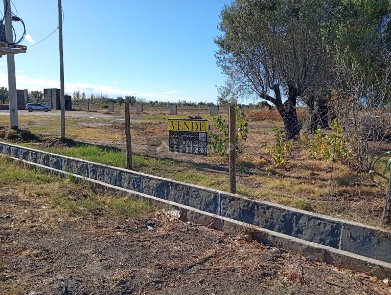 Campo en Venta en San Martin, Mendoza