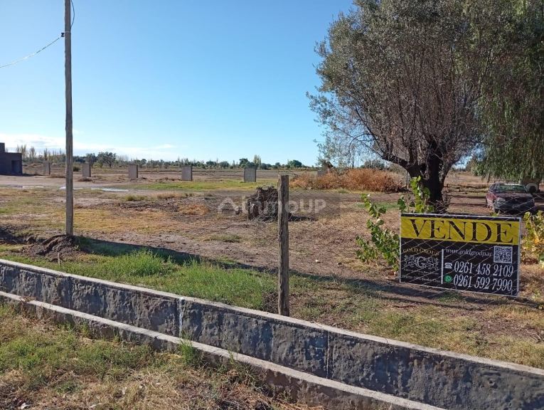 Campo en Venta en San Martin, Mendoza