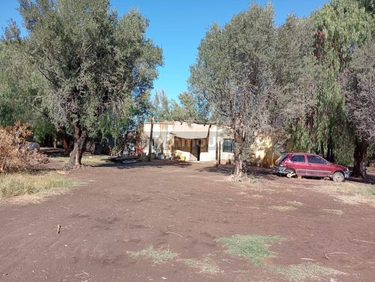 Campo en Venta en San Martin, Mendoza