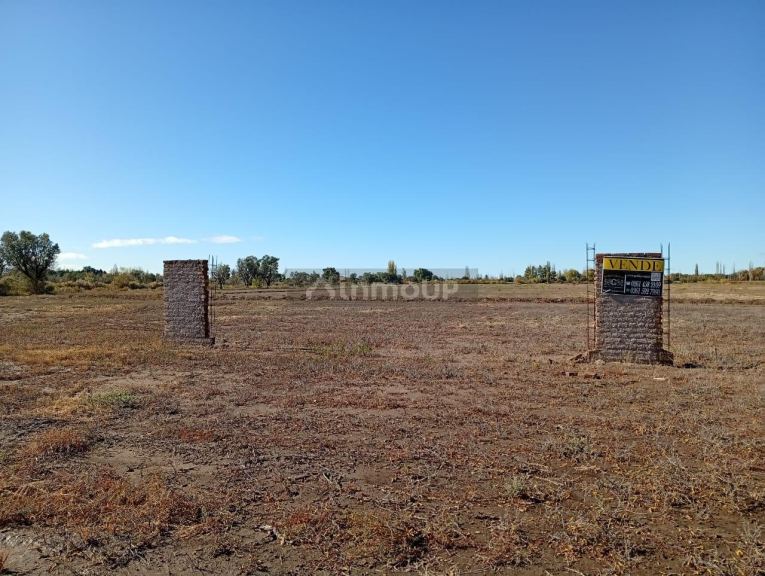 Campo en Venta en San Martin, Mendoza