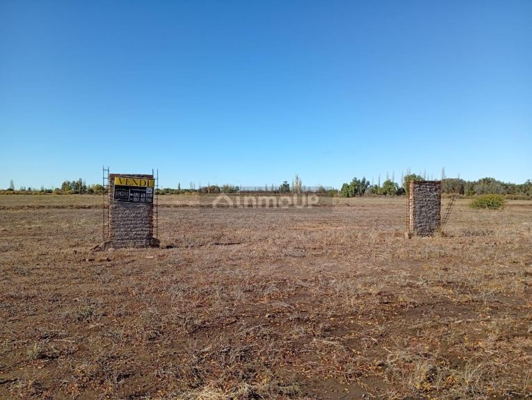 Campo en Venta en San Martin, Mendoza