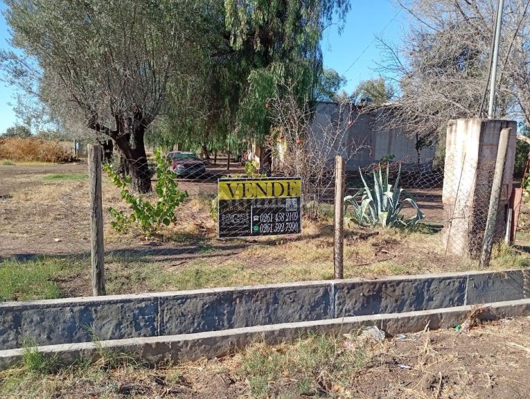 Campo en Venta en San Martin, Mendoza