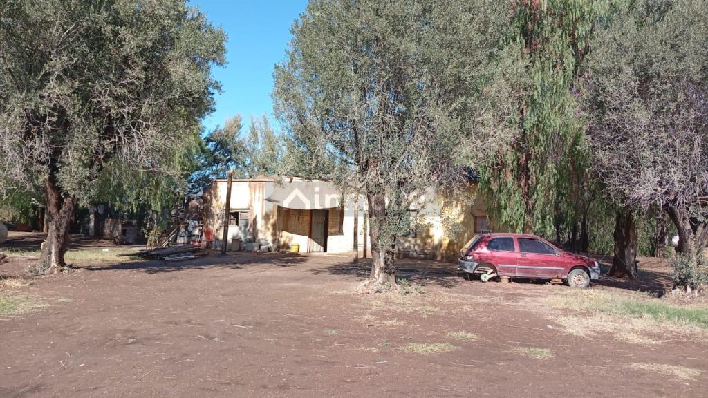 Campo en Venta en San Martin, Mendoza