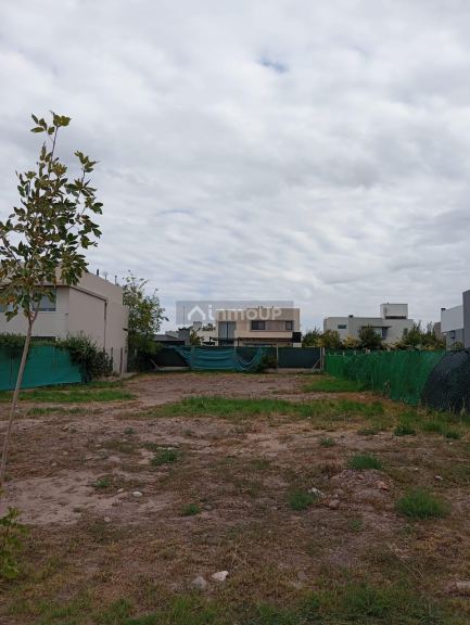 Terreno en Venta en Maipu, Mendoza