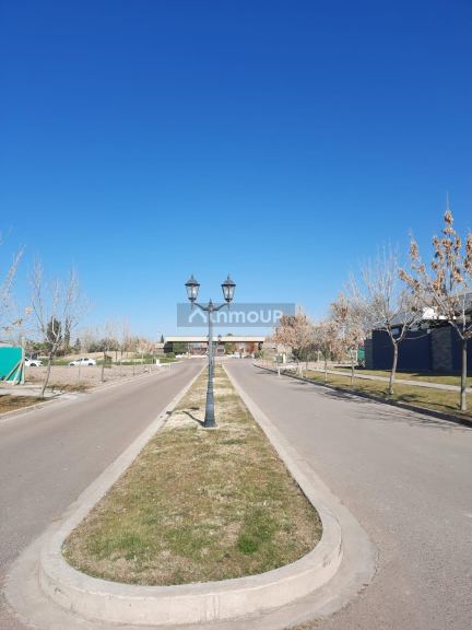 Terreno en Venta en Maipu, Mendoza