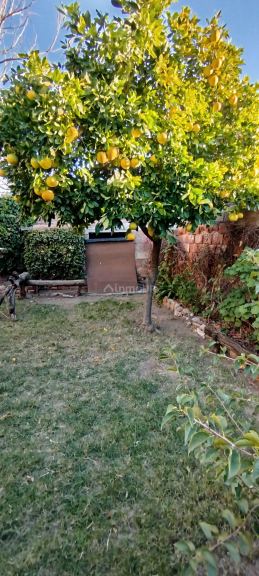 Casa en Venta en San Rafael, Mendoza