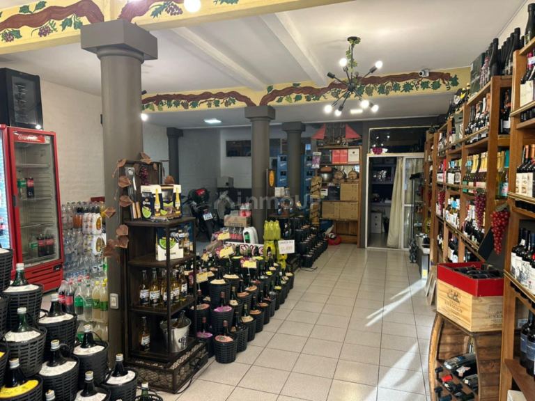 Fondo de Comercio en Venta en Las Heras, Mendoza
