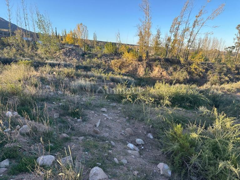Terreno en Venta en Lujan de Cuyo, Mendoza