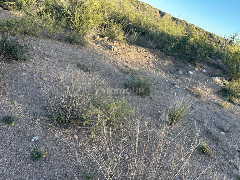 Terreno en Venta en Lujan de Cuyo, Mendoza