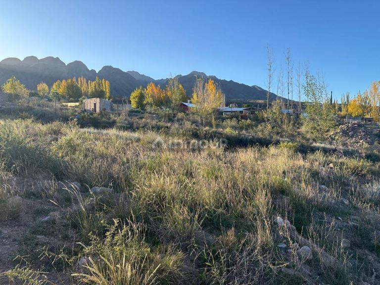 Terreno en Venta en Lujan de Cuyo, Mendoza