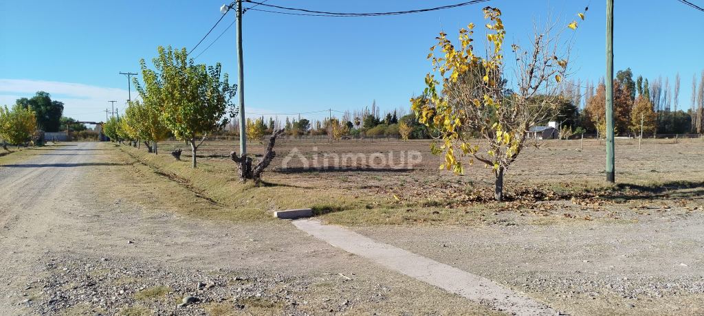 Lote en Venta en San Rafael, Mendoza