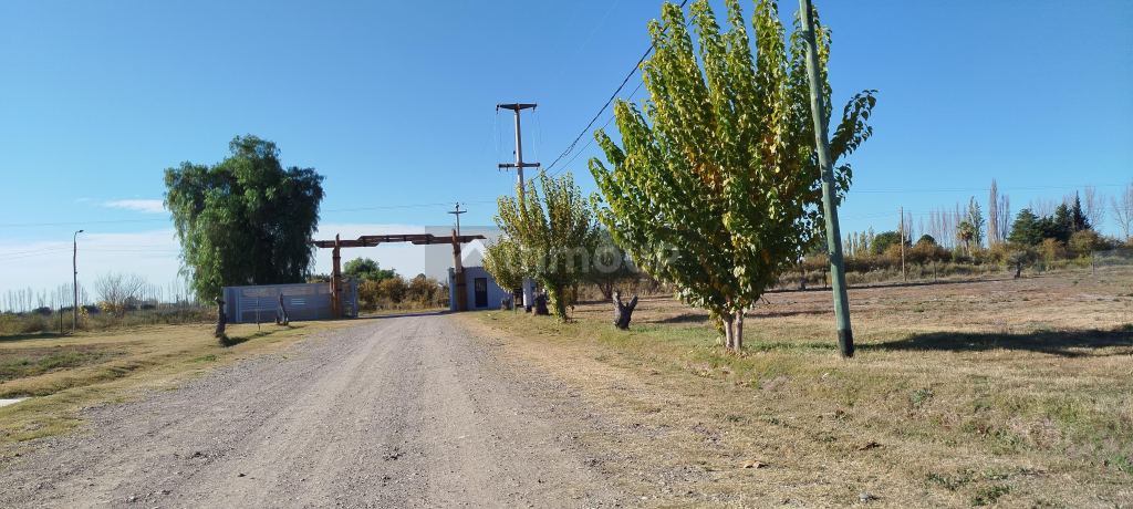 Lote en Venta en San Rafael, Mendoza