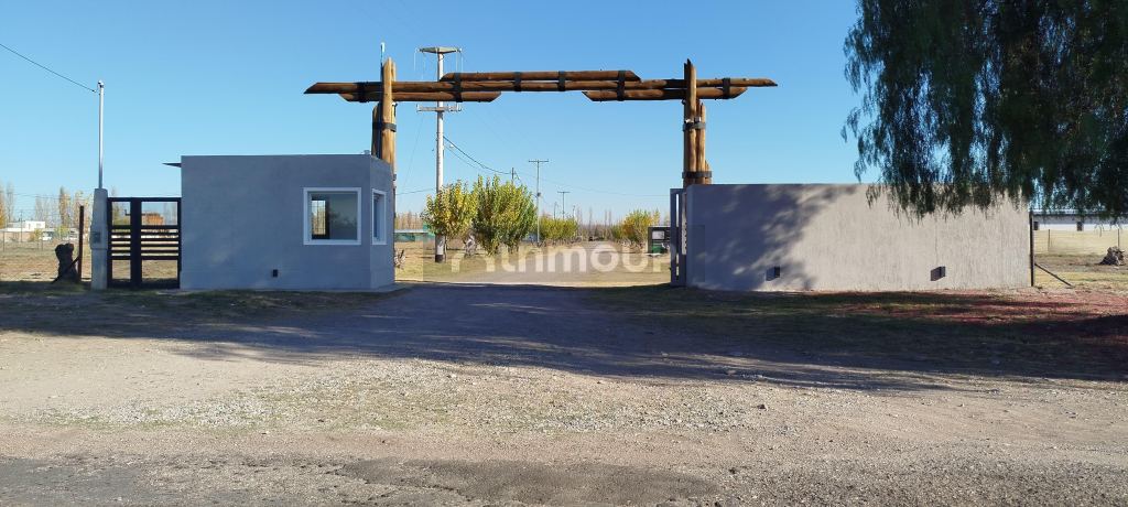 Lote en Venta en San Rafael, Mendoza