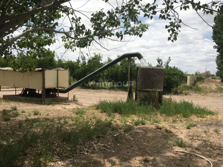 Finca en Venta en Santa Rosa, Mendoza
