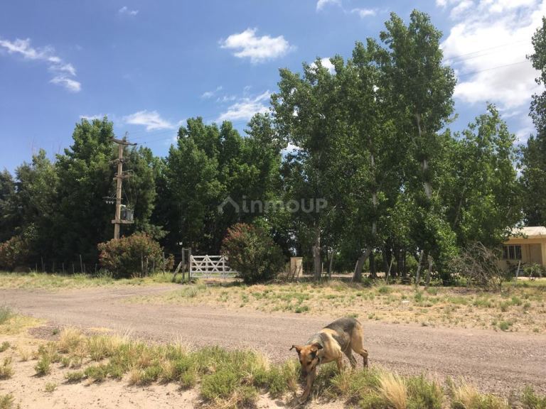Finca en Venta en Santa Rosa, Mendoza