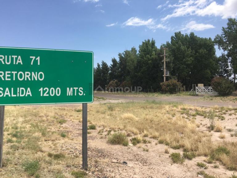 Finca en Venta en Santa Rosa, Mendoza