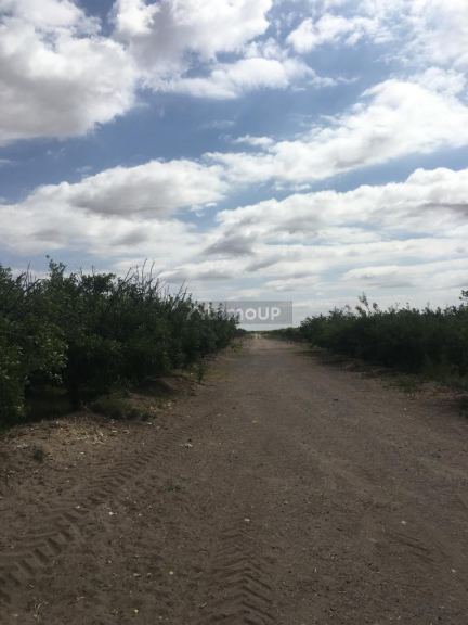 Finca en Venta en Santa Rosa, Mendoza