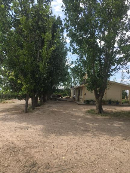 Finca en Venta en Santa Rosa, Mendoza
