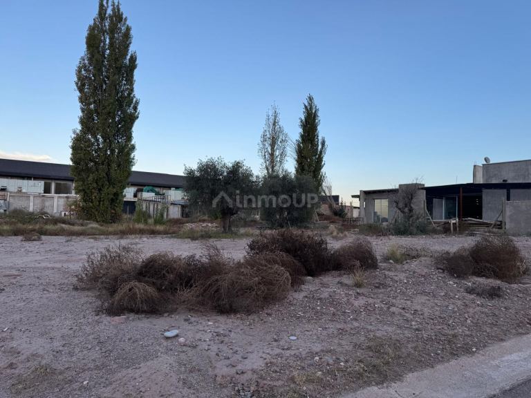 Lote en Venta en Lujan de Cuyo, Mendoza