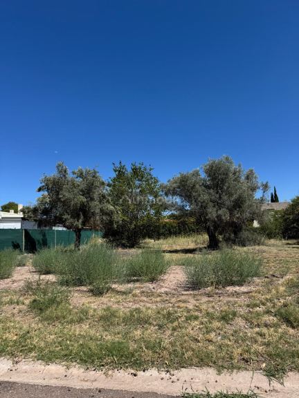 Lote en Venta en Lujan de Cuyo, Mendoza
