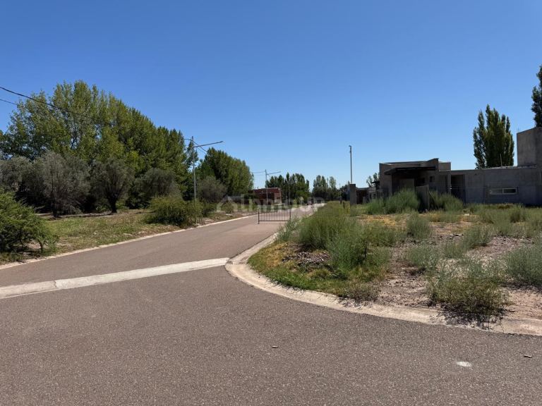 Lote en Venta en Lujan de Cuyo, Mendoza