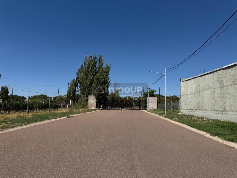 Lote en Venta en Lujan de Cuyo, Mendoza