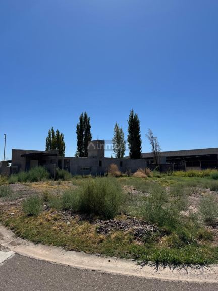 Lote en Venta en Lujan de Cuyo, Mendoza