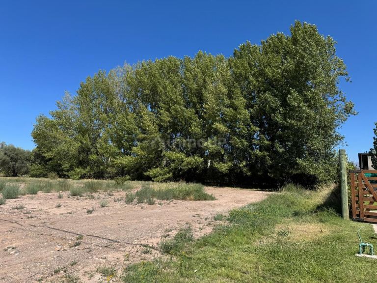 Lote en Venta en Lujan de Cuyo, Mendoza