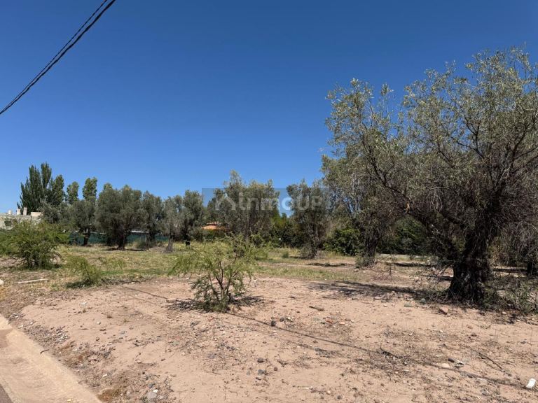 Lote en Venta en Lujan de Cuyo, Mendoza