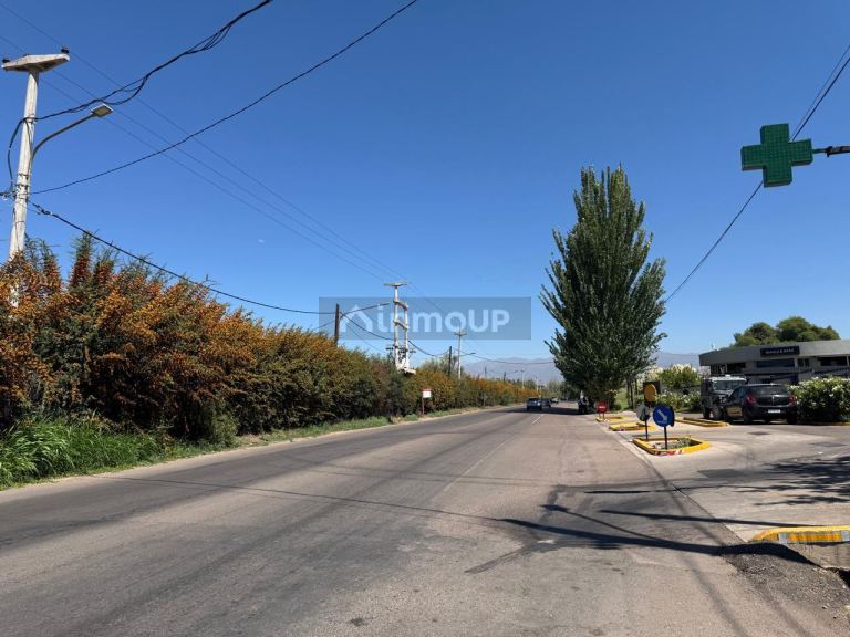 Lote en Venta en Lujan de Cuyo, Mendoza