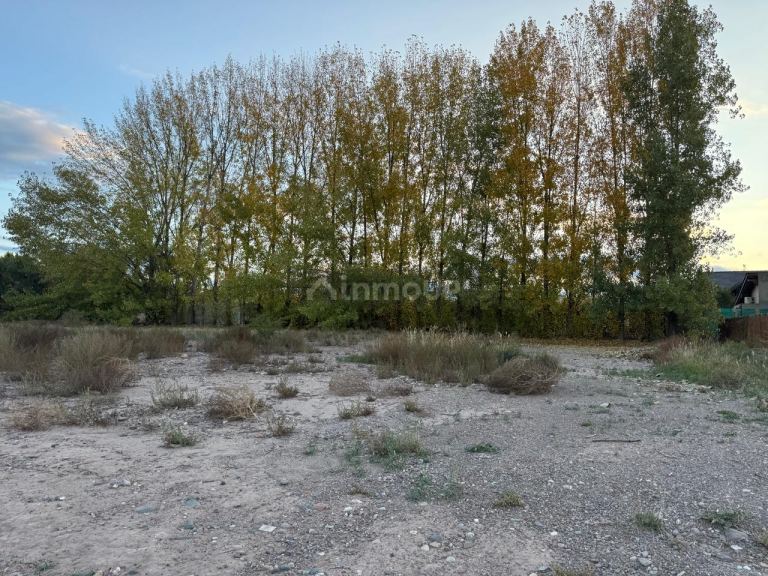 Lote en Venta en Lujan de Cuyo, Mendoza