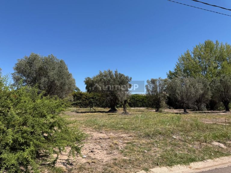 Lote en Venta en Lujan de Cuyo, Mendoza