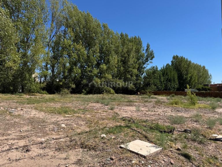 Lote en Venta en Lujan de Cuyo, Mendoza
