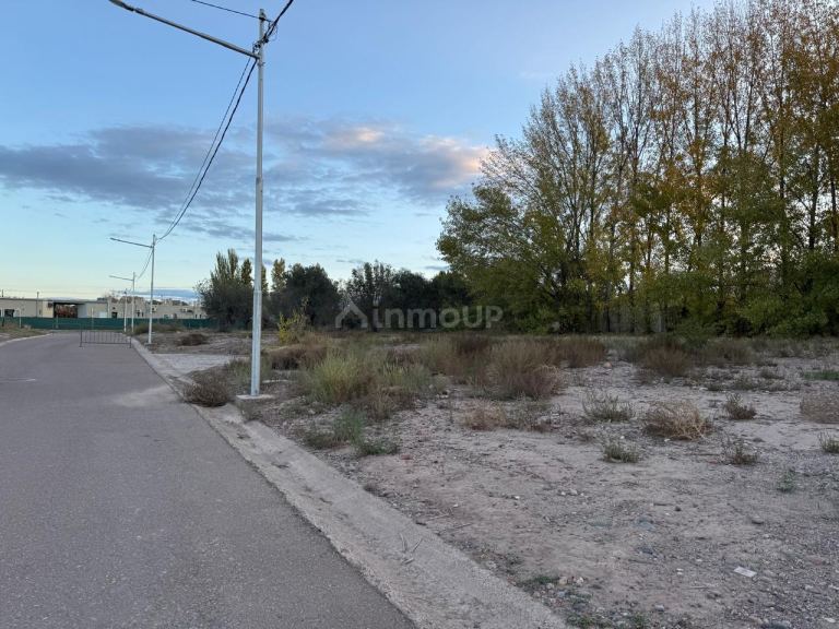 Lote en Venta en Lujan de Cuyo, Mendoza