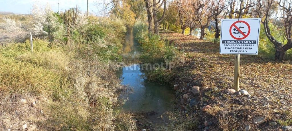 Finca en Venta en San Carlos, Mendoza