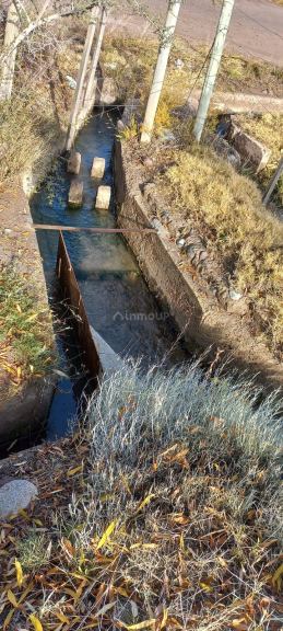 Finca en Venta en San Carlos, Mendoza