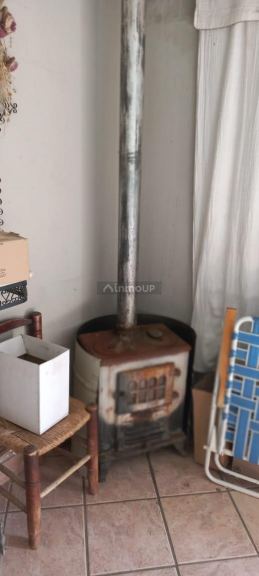 Finca en Venta en San Carlos, Mendoza