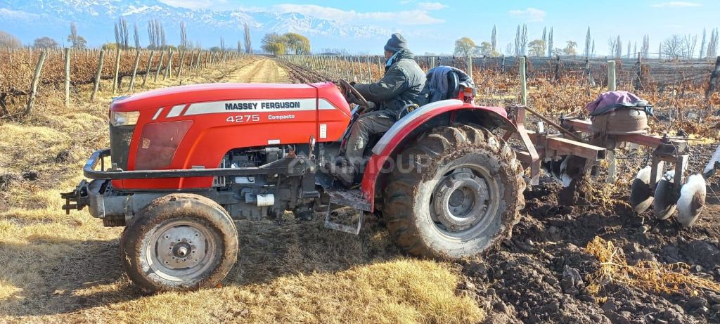 Finca en Venta en San Carlos, Mendoza