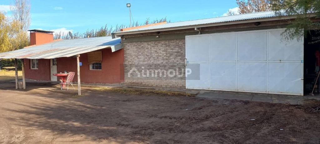 Finca en Venta en San Carlos, Mendoza