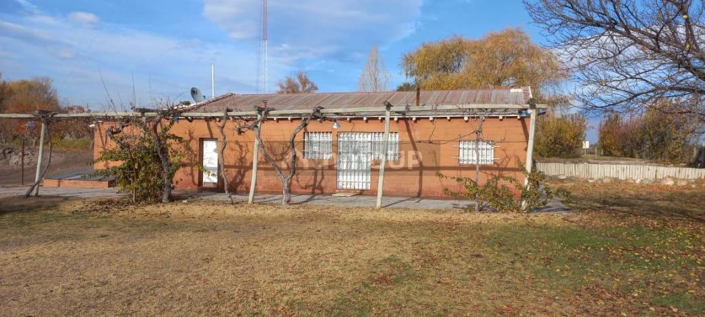 Finca en Venta en San Carlos, Mendoza
