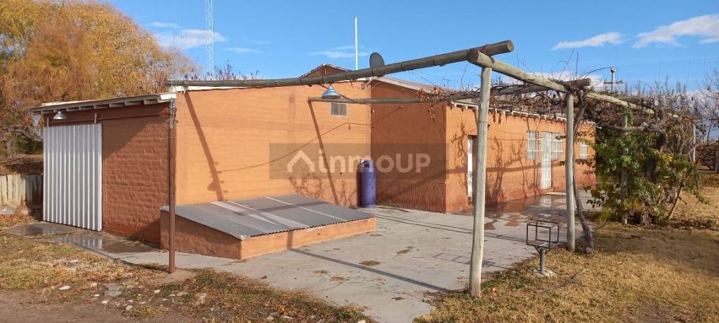 Finca en Venta en San Carlos, Mendoza