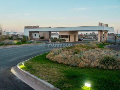 Terreno en Venta en Maipu, Mendoza