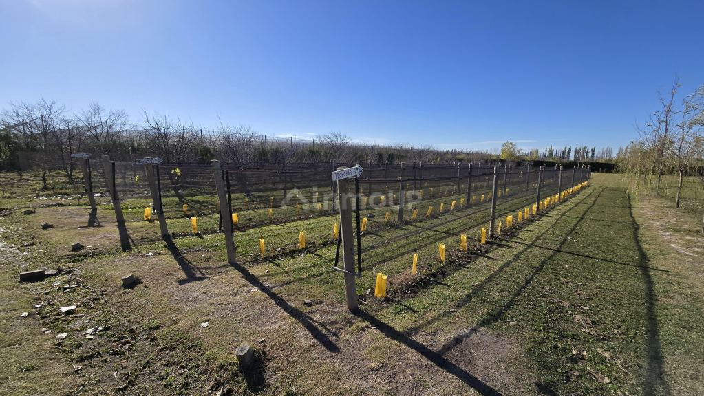 Cabaña en Venta en San Rafael, Mendoza