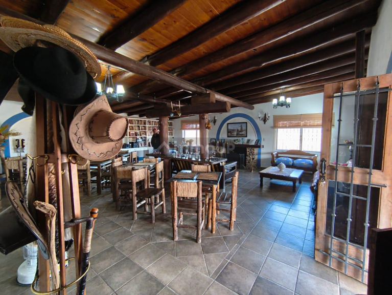 Finca en Venta en Las Heras, Mendoza