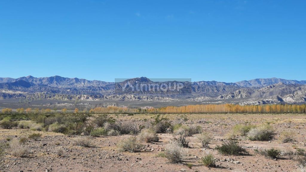 Finca en Venta en Las Heras, Mendoza