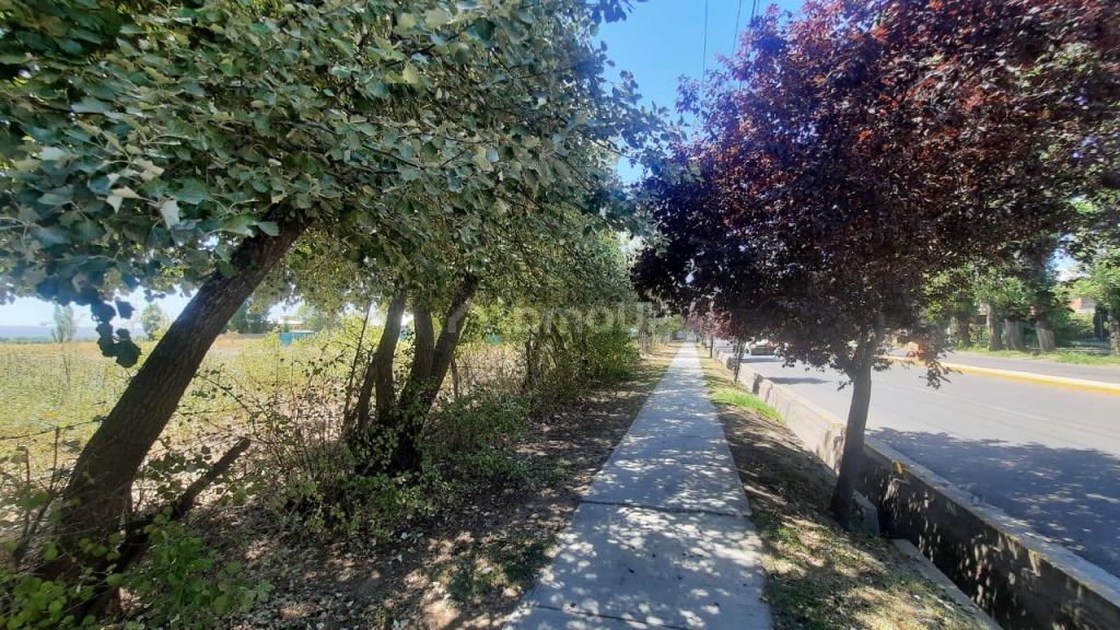 Terreno en Venta en Tupungato, Mendoza