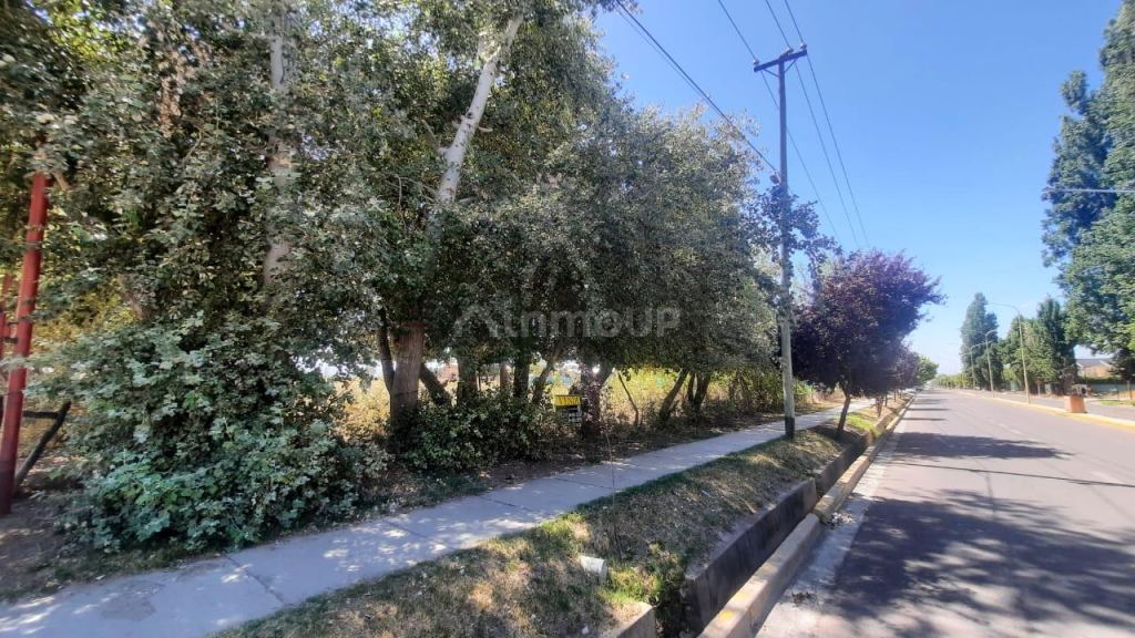 Terreno en Venta en Tupungato, Mendoza