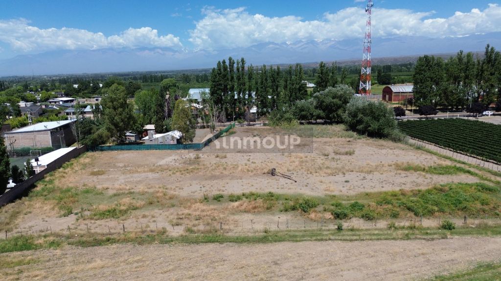 Terreno en Venta en Tupungato, Mendoza