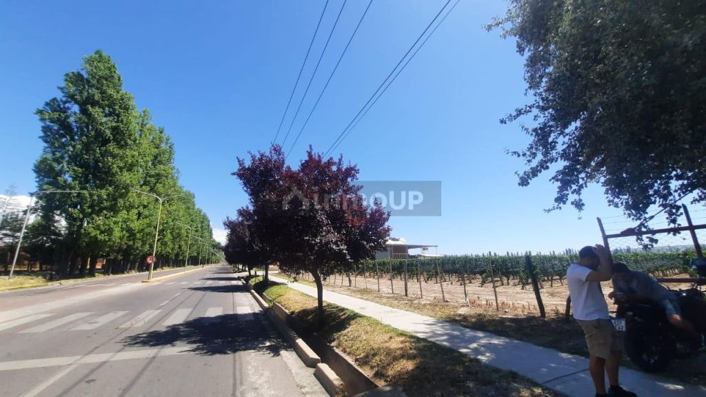 Terreno en Venta en Tupungato, Mendoza