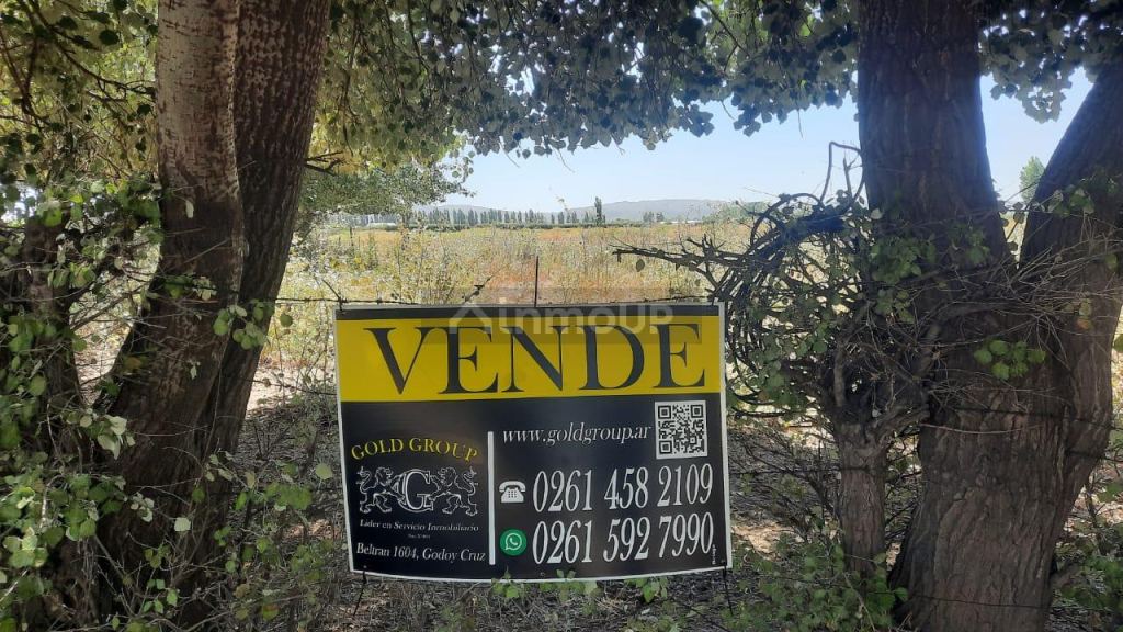 Terreno en Venta en Tupungato, Mendoza